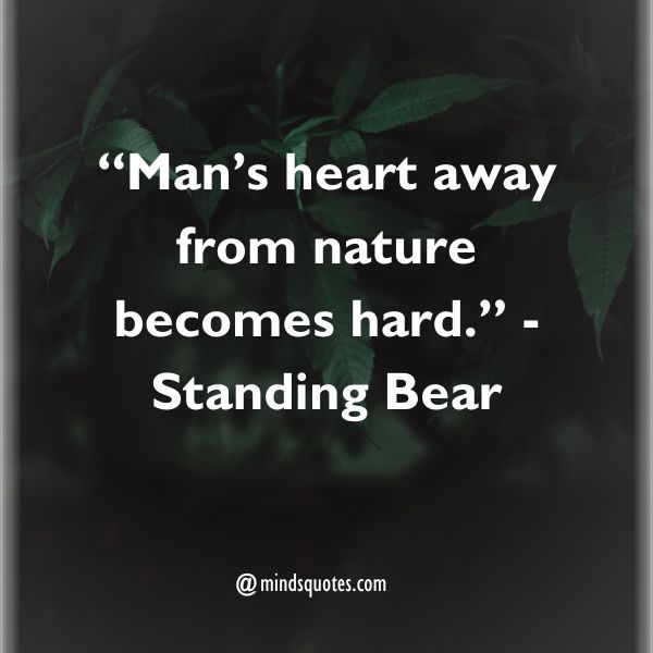 Nature Quotes Short