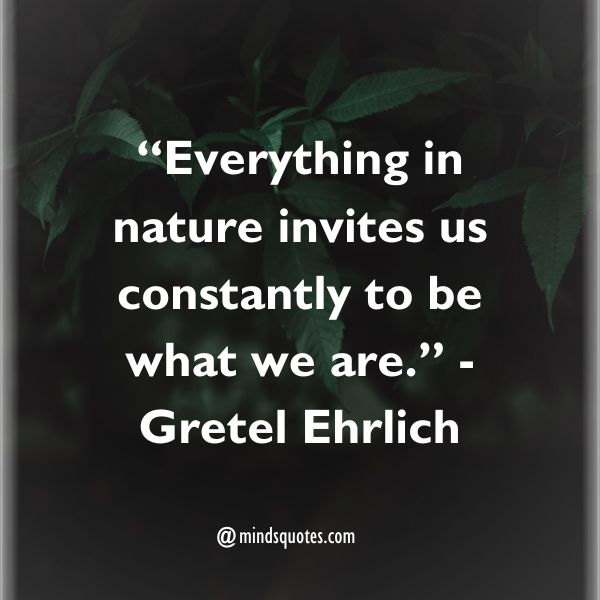 75 Best Nature Quotes To Soothe Your Mind, Body, And Soul 11 Nature Quotes Short