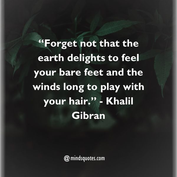 75 Best Nature Quotes To Soothe Your Mind, Body, And Soul 2 Nature Quotes