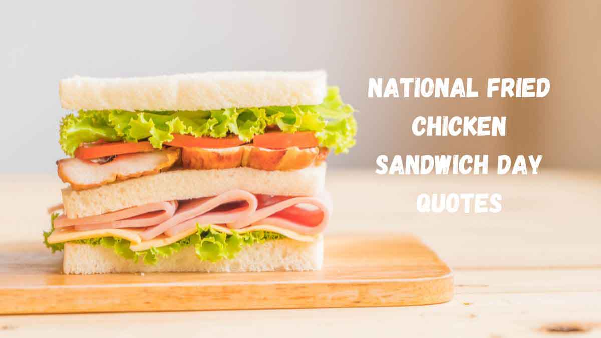 50 National Fried Chicken Sandwich Day Quotes, Wishes, Messages