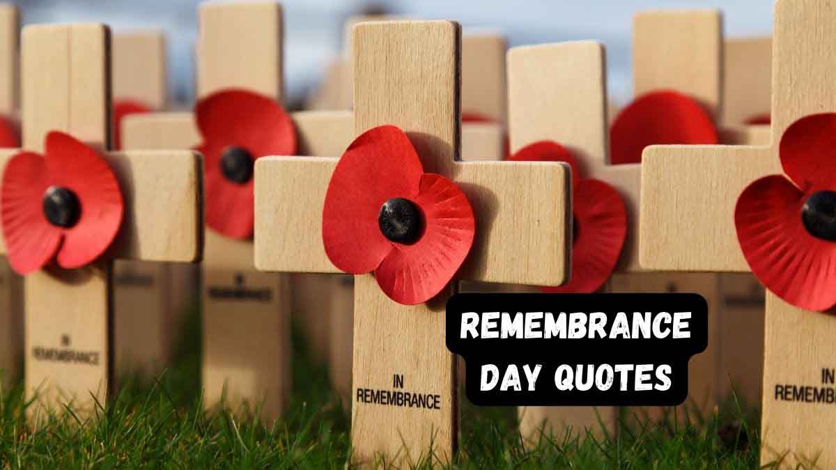 50 Remembrance Day Quotes, Wishes, Messages & Captions