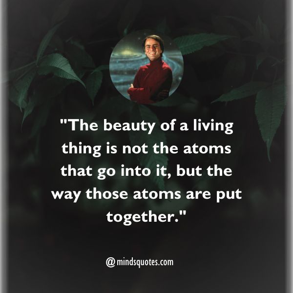 Carl Sagan Day Quotes