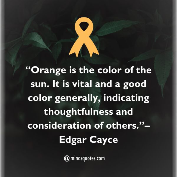 50 Color the World Orange Day Quotes, Wishes, Messages & Captions 2 Color the World Orange Day Quotes