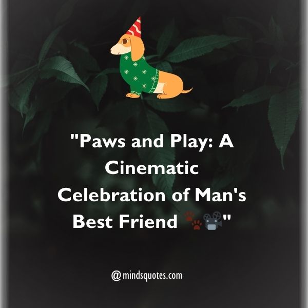 70 Best Dog Film Festival Quotes, Wishes, Messages & Captions 5 Dog Film Festival Captions