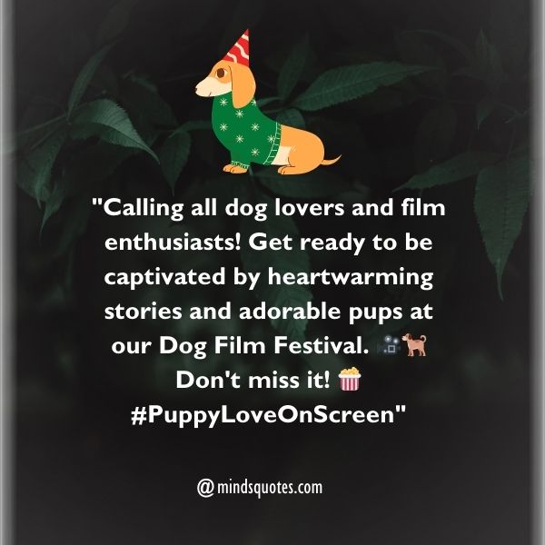 Dog Film Festival Messages