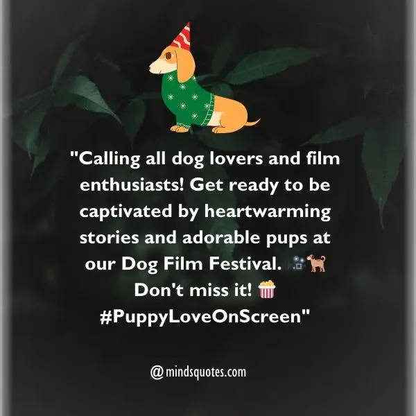 70 Best Dog Film Festival Quotes, Wishes, Messages & Captions 4 Dog Film Festival Messages