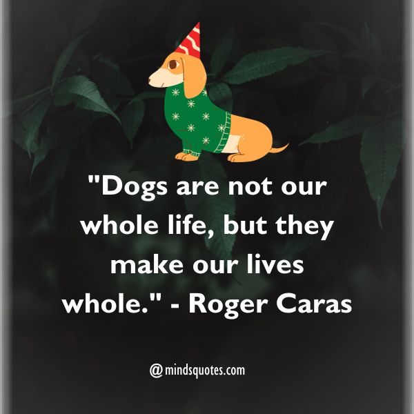 70 Best Dog Film Festival Quotes, Wishes, Messages & Captions 2 Dog Film Festival Quotes