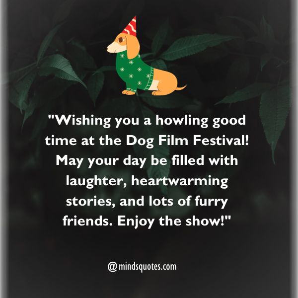 70 Best Dog Film Festival Quotes, Wishes, Messages & Captions 3 Dog Film Festival Wishes