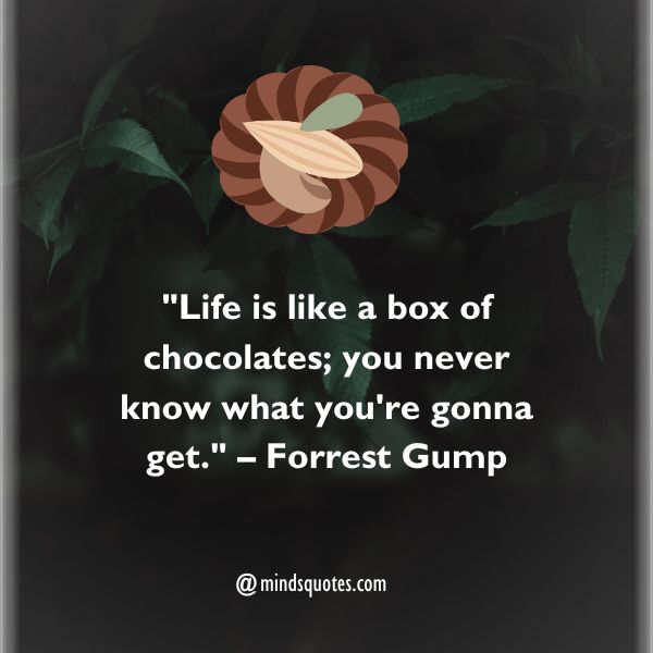 50 National Bittersweet Chocolate with Almonds Day Quotes, Wishes & Messages 2 National Bittersweet Chocolate with Almonds Day Quotes