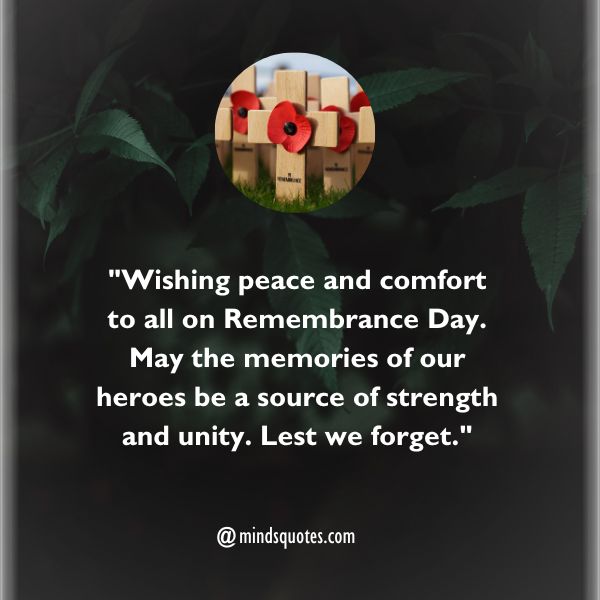 50 Remembrance Day Quotes, Wishes, Messages & Captions 3 Remembrance Day Wishes