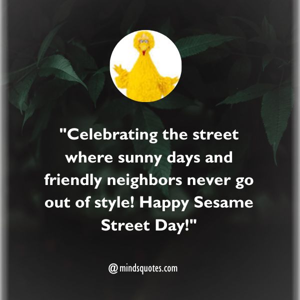 50 Best Sesame Street Day Quotes, Wishes, Messages & Captions 4 Sesame Street Day Captions