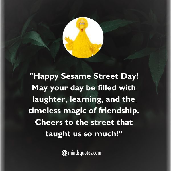 50 Best Sesame Street Day Quotes, Wishes, Messages & Captions 3 Sesame Street Day Messages