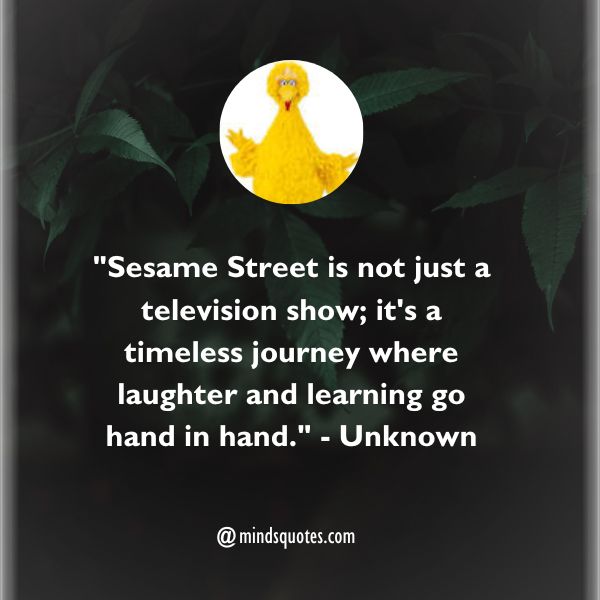 Sesame Street Day Quotes