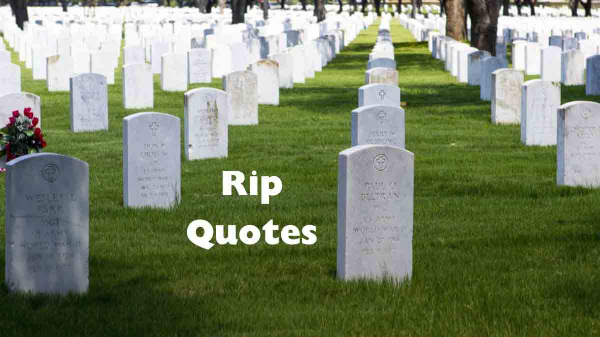 100 Heartfelt Rip Quotes for Healing and Remembrance