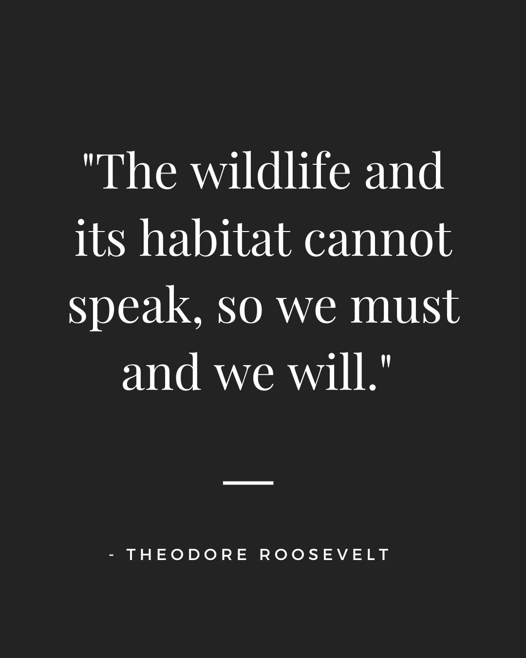 Wildlife Quotes